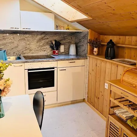 Chesa Margadant By Interhome Apartment Zuoz